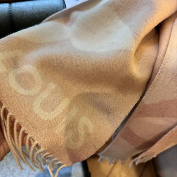 Louis Vuitton Scarf LVC00513